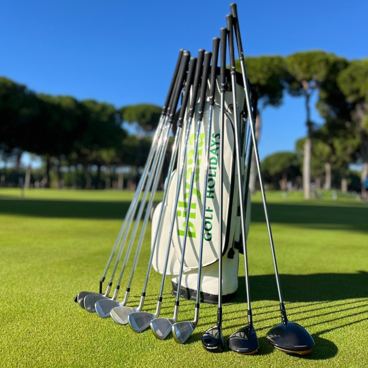 https://minio.bilyanagolf.com/files/imaj/clubhire1.jpg
